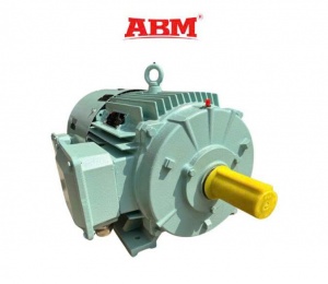 Motor Chạy Biến Tần ABM – MF Series